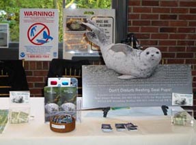 Seal Sitters celebrate Lincoln Park