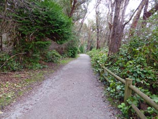 Lincoln Park pathway