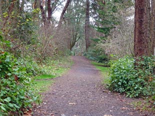 Lincoln Park pathway