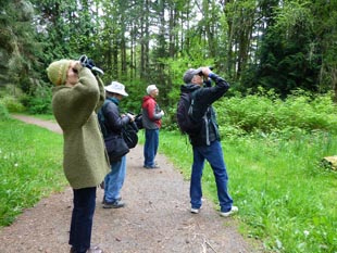 Birding tour at Lincoln Park