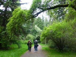 Birding tour through Lincoln Park