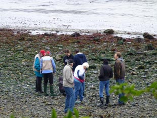 Beach Naturalists at Lincoln Park